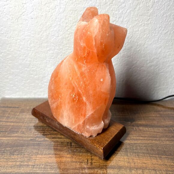 Vintage Pink Himalayan Salt Lamp Cat Shaped Carved Orange Rock Crystal Wood Base - Picture 13 of 13
